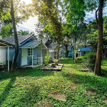 Ivy Cottage By Qiu Muak Lek Ngoại thất bức ảnh